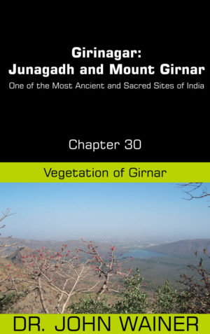 Girinagar: Junagadh and Mount Girnar One of the Most Ancient and Sacred Sites of India